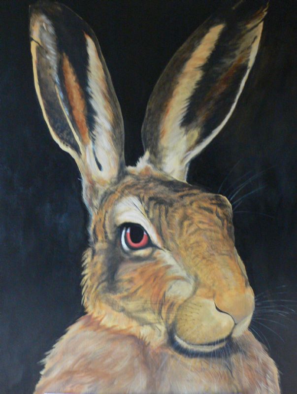 Hare